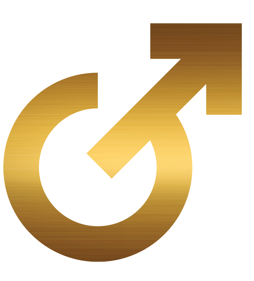 FL Pro Logo